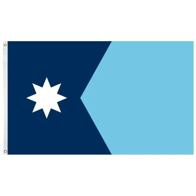 Minnesota State Flag