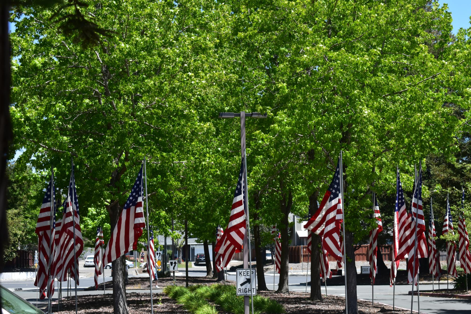 American Flags in Public Spaces